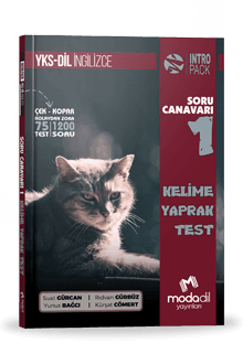 YKS-DİL İNGİLİZCE SORU CANAVARI 1 - KELİME YAPRAK TEST