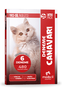 YKS-DİL INTROPACK - DENEME CANAVARI (6 DENEME)